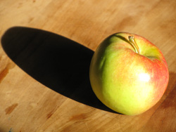 apfel